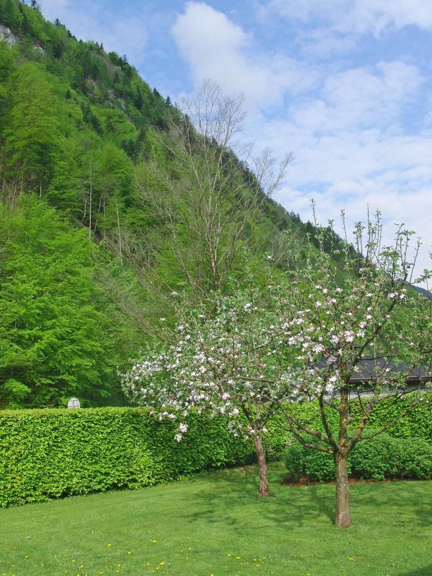 Haus Seehof St. Gilgen Zewnętrze zdjęcie